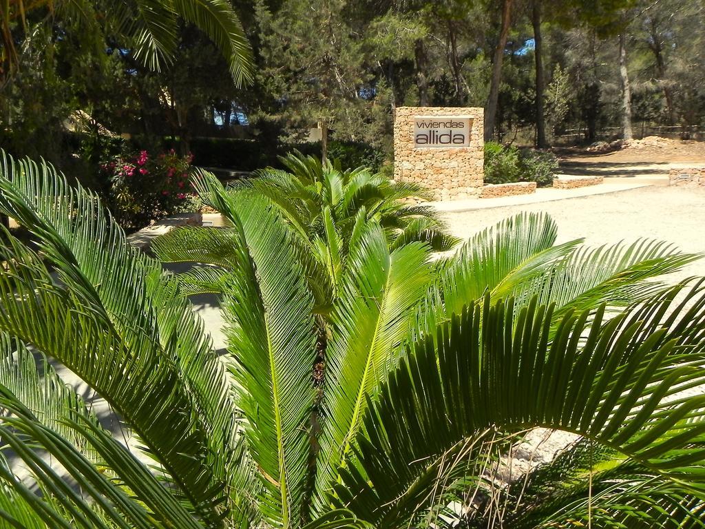 Viviendas Turisticas Vacacionales Allida Platja de Migjorn Zewnętrze zdjęcie