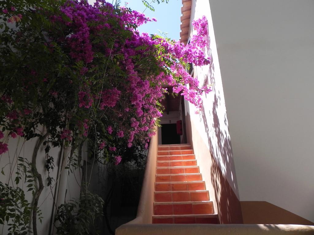 Viviendas Turisticas Vacacionales Allida Platja de Migjorn Zewnętrze zdjęcie
